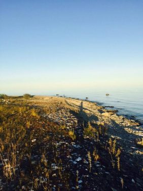 gotland