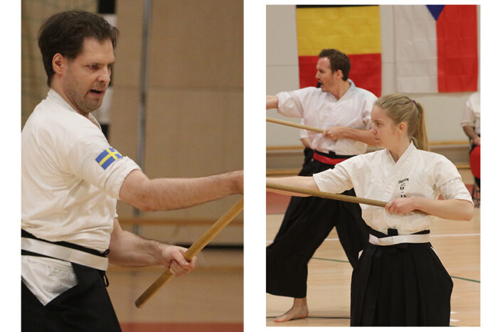 EM i naginata