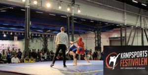 Kampsportsfestivalen_wushu