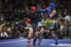 Kampsportsfestivalen 2025