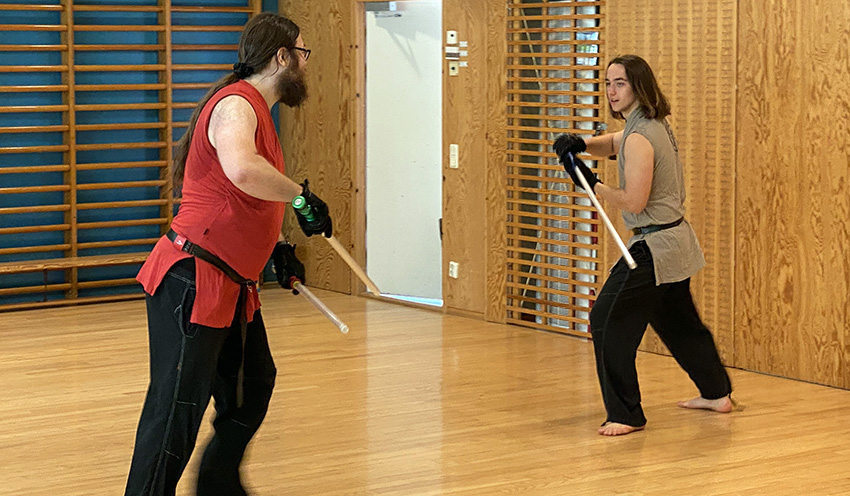 träning i ludosport